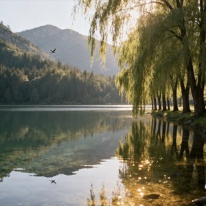 灯塔下等你跨越海洋的爱.wav