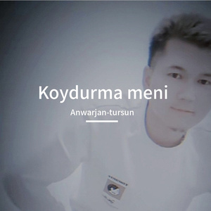 koydurma Mini