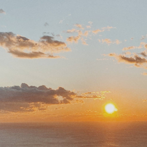 蜜蜂(Demo)（翻自 万玲琳）