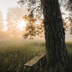 我怀念的  0.9x（BGM版）