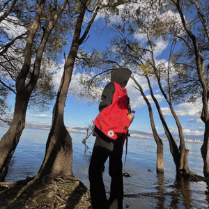 好像一双无形抓不住的手