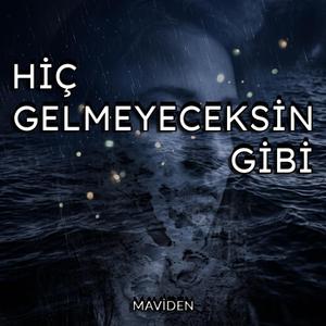 Hiç Gelmeyeceksin Gibİ