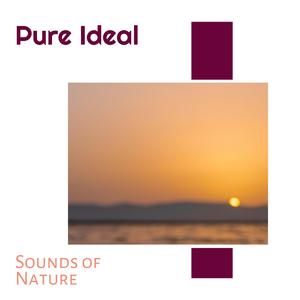 Life of New York Ocean Waves