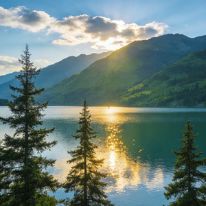 你的眼睛有星星