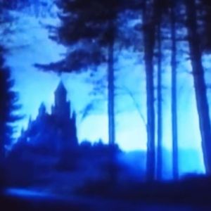 假如我能变得随便