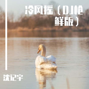 冷风摇（DJ抢鲜版）（翻自 峻峻）