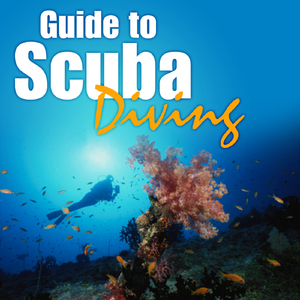 Scuba Diving Safety