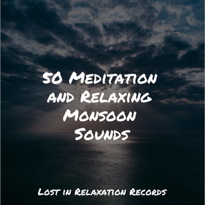 Tropical Island Vibes