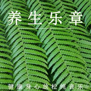养生乐章