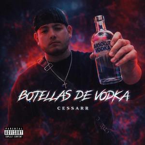 Botellas de Vodka