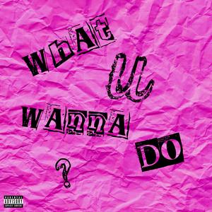 what you wanna do