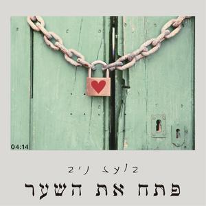 פתח את השער (feat. Micky Weisbuch- מיקי ויסבוך) (preview version)