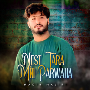Nest Tara Mni Parwaha