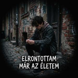 Elrontottam már az életem