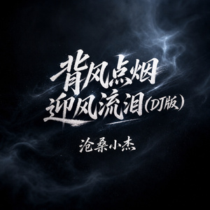 背风点烟迎风流泪(DJ版)