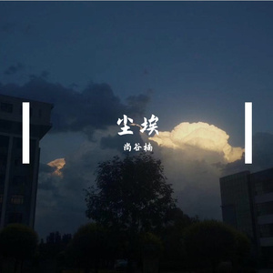 尘埃(温柔男声版)（翻自 林小珂）