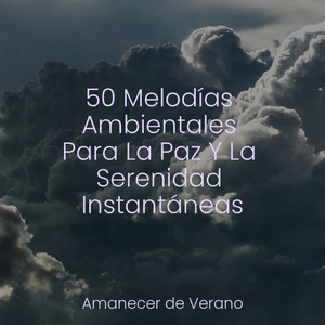 Alas caprichosas desplegándose