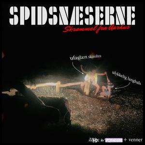 Pandekage skizofren