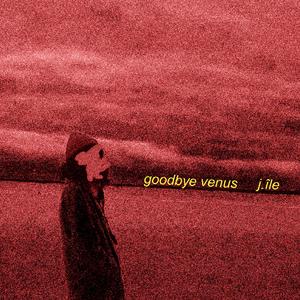 goodbye venus