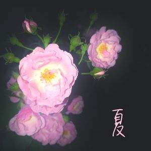 Landing Guy（Cover 刘昊霖）