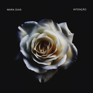 Intenção (Cover)
