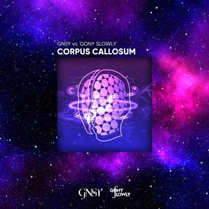 Corpus Callosum