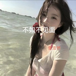 不如不见面Remix