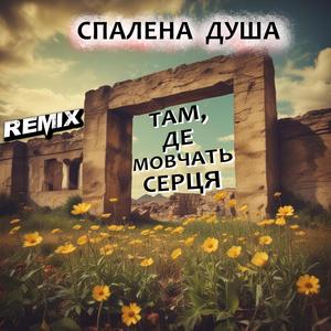 Де мовчать криниці (Remix. Український Шансон)