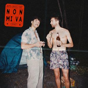 Non mi va (feat. Gaetano & Big P)