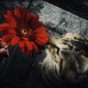 Shikayet（倾诉）