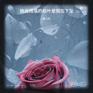 她说残落的枯叶是我在下坠