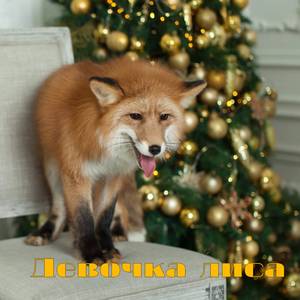 Девочка лиса