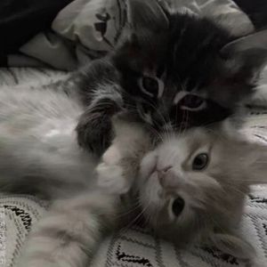 你在左边我紧靠右