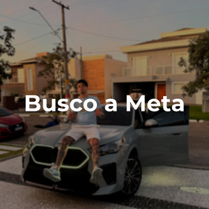 Busco a Meta