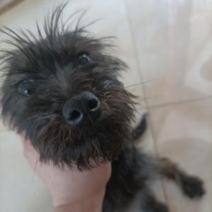 출항(Sailing)（翻自安艺恩)（片段）