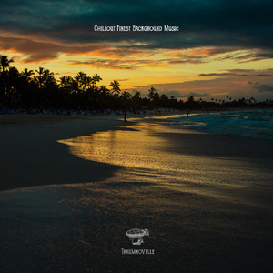 Sophisticated Aesthetic