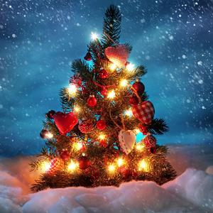 Merry Lonely Christmas