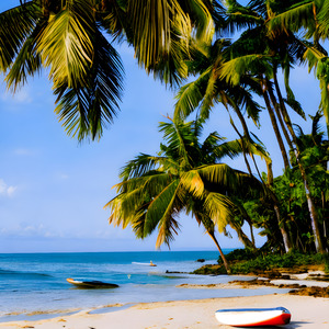 Paradise