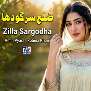 Zilla Sargodha