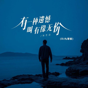 有种遗憾叫有缘无份 (DJ九零版)