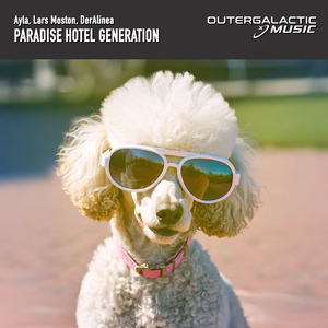 Paradise Hotel Generation