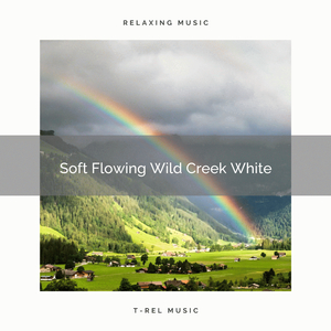 Soft Whisper and the Power of Flowing Natural Water Wild