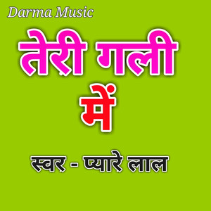 Teri gali Me
