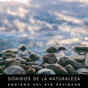 Ruido De Corrientes En Las Enormes Montañas