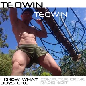I KNOW WHAT BOYS LIKE (COMPUTER CRIME BAD BOYS AND FAST CARS REMIX)