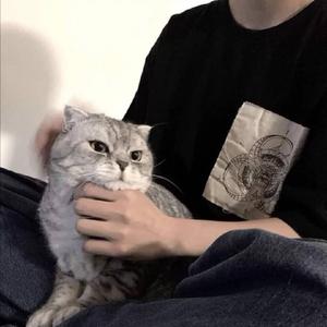 把爱留在长春站