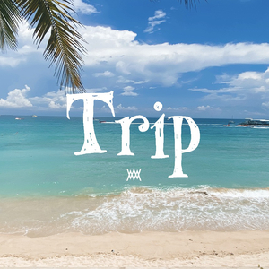 Trip