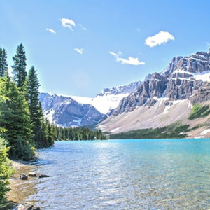 玫瑰乐章（宁静钢琴曲）