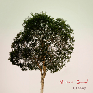 Ocean with Birds, Wave (뮤직테라피)