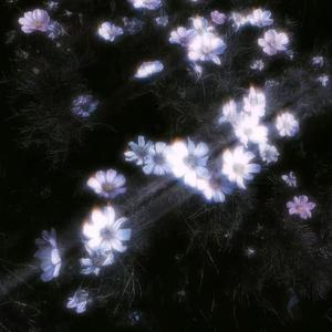 世界上最爱我的人